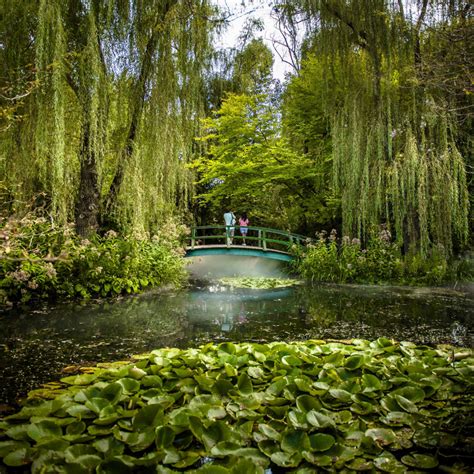 Grounds for sculpture sculptors way hamilton township nj - Grounds For Sculpture is a museum, sculpture garden, and arboretum framed by nature on 42 picturesque acres. Wander the grounds and discover hundreds of contemporary sculptures. Explore rotating …